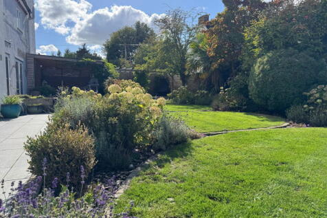 Property Image 44
