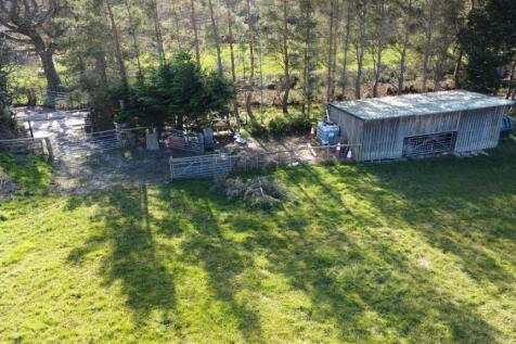 DJI_0217.JPG