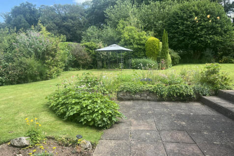 image00032.jpeg