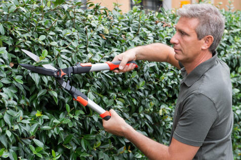 Gardeners