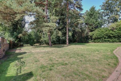 Garden 5.jpeg