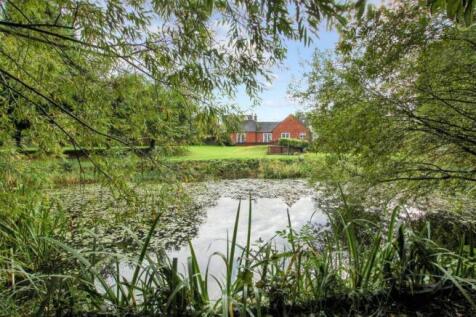 garton lead image .jpeg