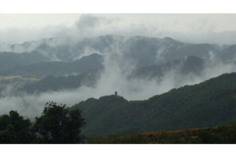 View, misty morning