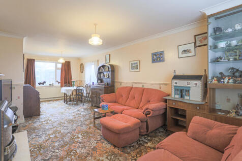 Image-16.JPG