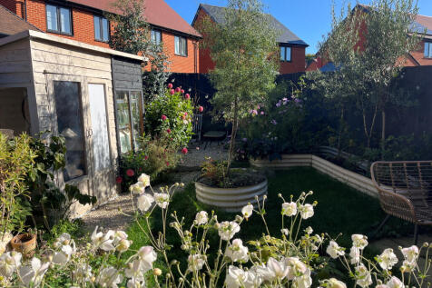 Back garden