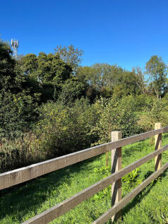 View from house