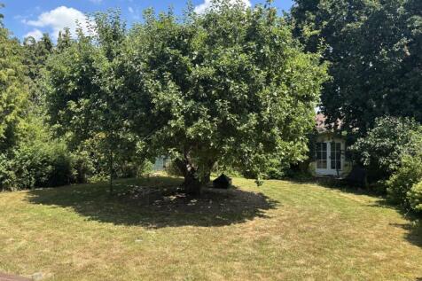 garden 2