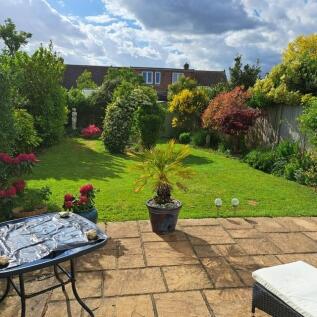 Garden.jpg