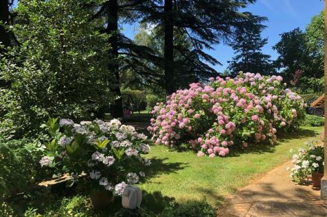 Garden detail