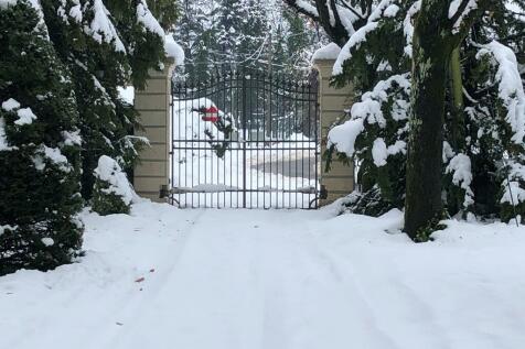 Garden in winter