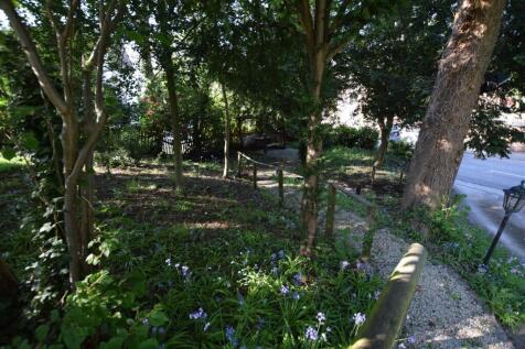 Wooded Area