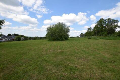Common Green Area
