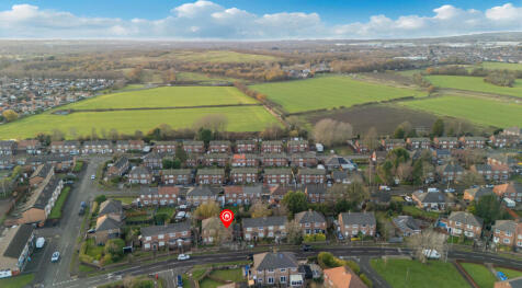 Untitled design (13)