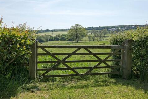 Field Views