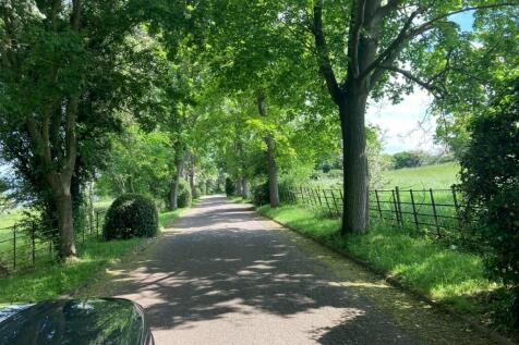 Tree-lined drive 