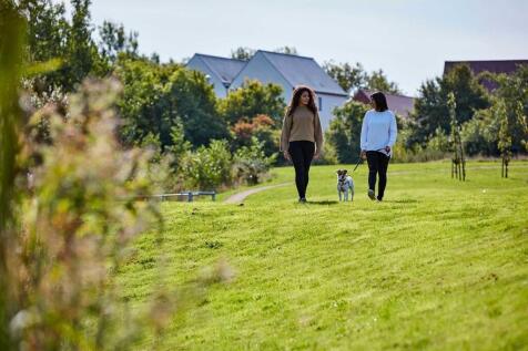 No need to worry about a garden with so much open space around you