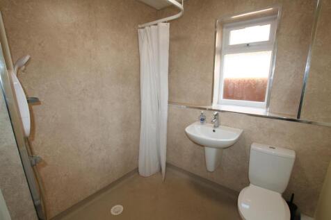 lobeliaclose,20wetroom.JPG