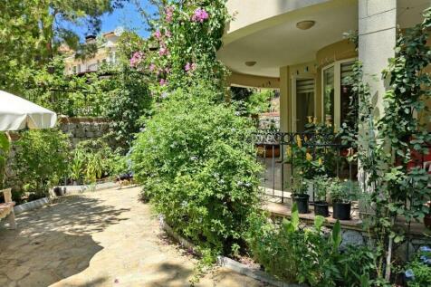 Back garden