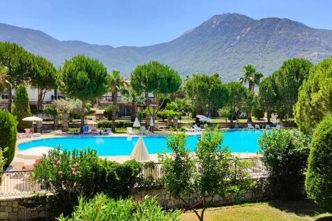 Pool &amp; gardens