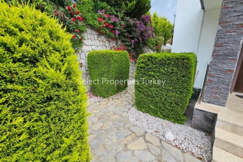 Property Image 56
