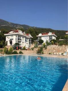 Large Pool