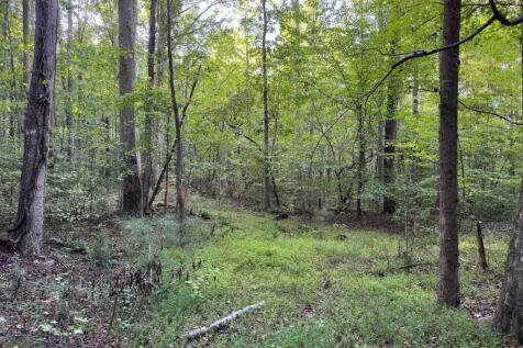 Property Image 69