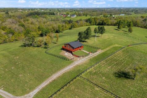 Property Image 65