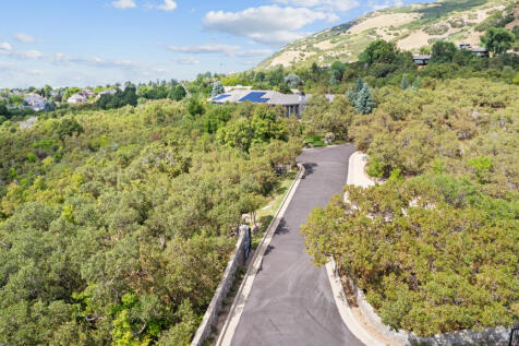 Property Image 81