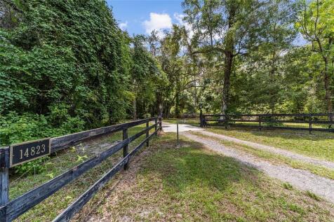 Property Image 65