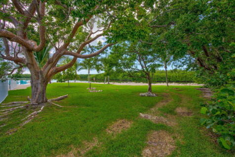 Property Image 66