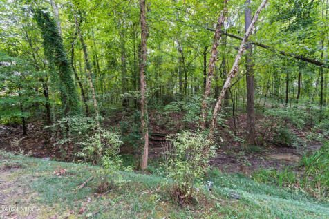 Property Image 85