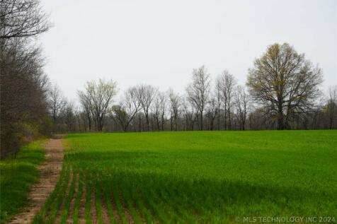 Property Image 56