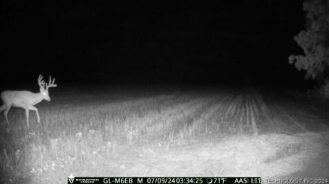 Property Image 64