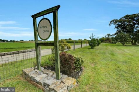 Property Image 101