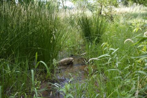 Property Image 64