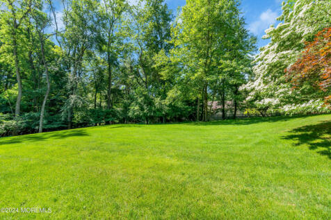 Property Image 64