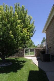 Property Image 62