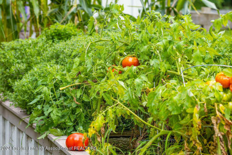 Property Image 109