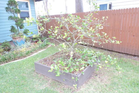 Property Image 59