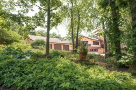 Property Image 53