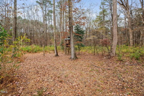 Property Image 64