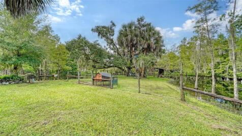 Property Image 74