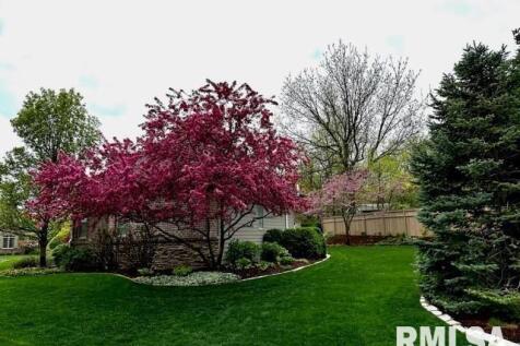 Property Image 62
