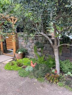Property Image 66