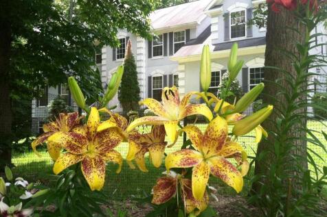Property Image 65