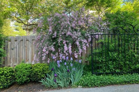 Property Image 54