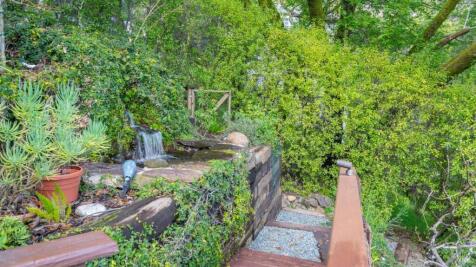 Property Image 59