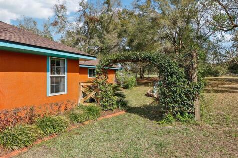 Property Image 54