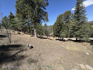 Property Image 101
