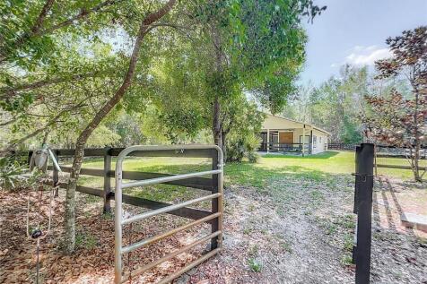 Property Image 69